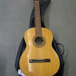 423 1098 Gitarr